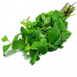 Mint Leaves 100 gms